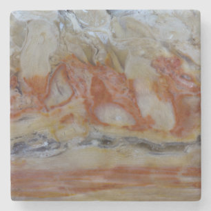 Close Up Of Petrified Wood Stone Coaster