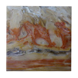 Close Up Of Petrified Wood Tile