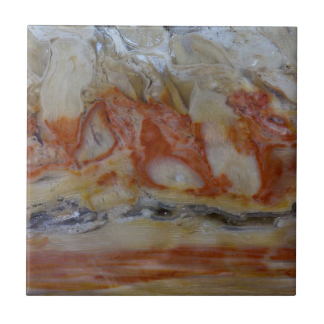 Close Up Of Petrified Wood Tile (Front)