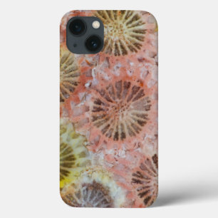 Close Up Of Pink Coral iPhone 13 Case