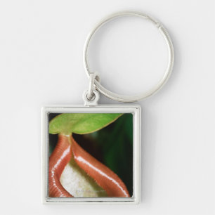 Close-up of pitcher plant keychain
