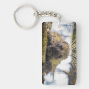 Close-up of porcupine in a tree keychain