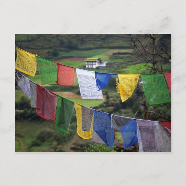 Close Up Of Prayer Flags Postcard (Front)