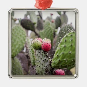 Close Up Of Prickly Pear Cactus Metal Ornament