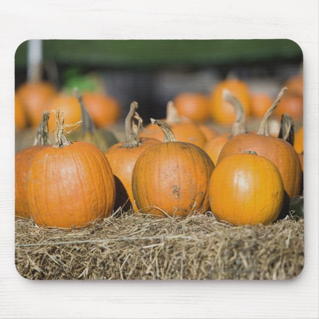 Close-up of pumpkins mouse pad (Front)