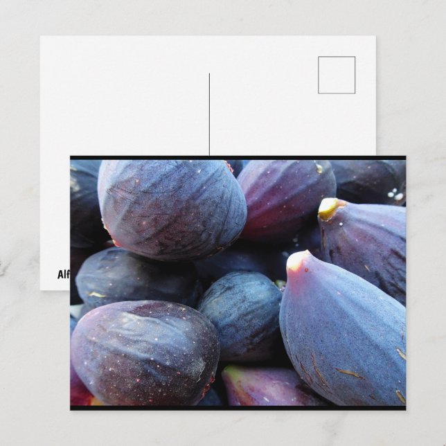 Close up of Purple Fig Fruit Postcard (Front/Back)