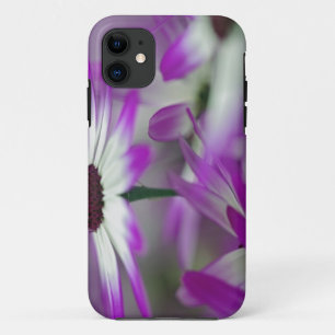 Close-up of purple flower, Keukenhof Garden, iPhone 11 Case