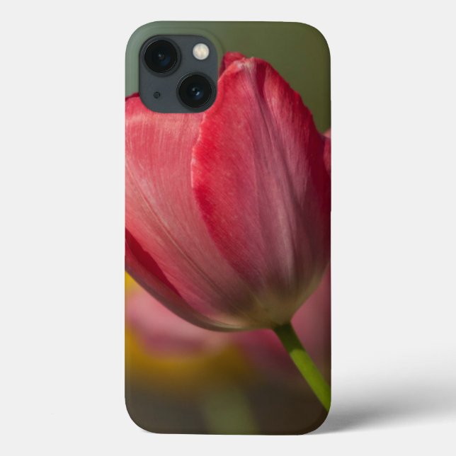 Close-up of red and yellow tulips in garden Case-Mate iPhone case (Back)