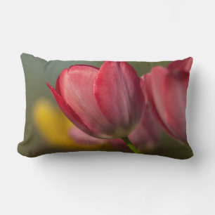 Close-up of red and yellow tulips in garden lumbar pillow