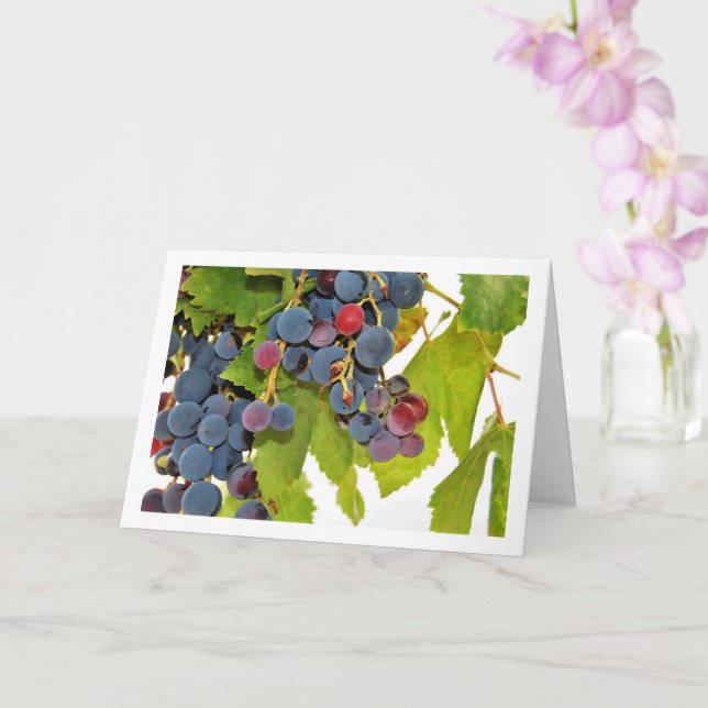Close-up of Red Grape Vine Card (Orchid)