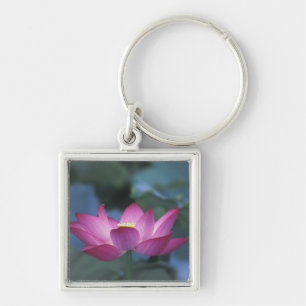 Close-up of red lotus flower and green leaves, keychain
