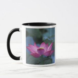 Close-up of red lotus flower and green leaves, mug