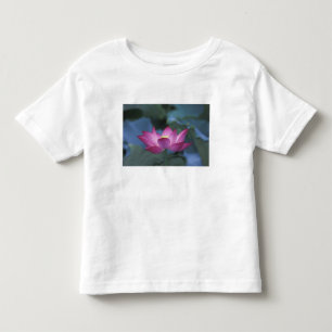 Close-up of red lotus flower and green leaves, toddler t-shirt