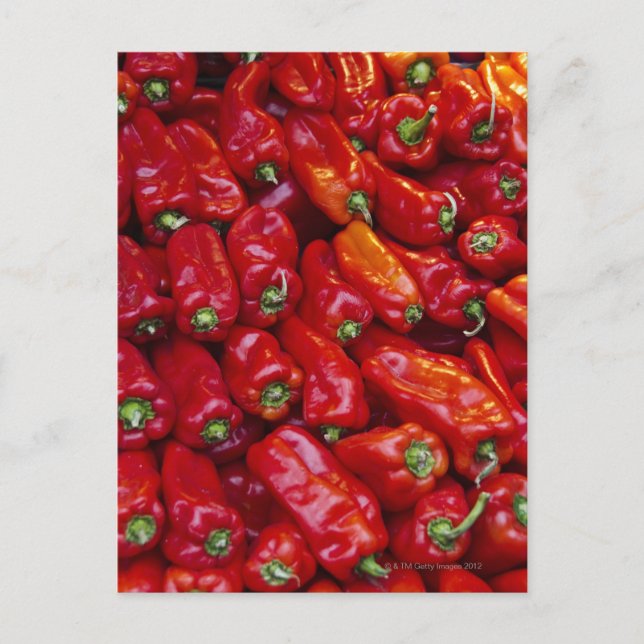 Close up of red peppers postcard (Front)