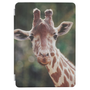 Close up of Reticulated Giraffe iPad Air Cover