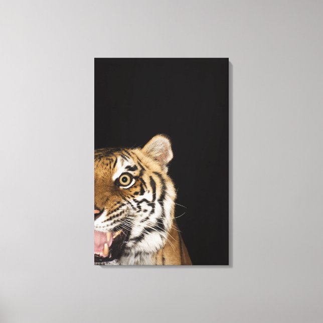 Close up of roaring tiger's face canvas print (Front)