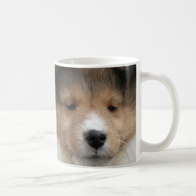 Close up of Shetland sheepdog puppy face on mug (Right)