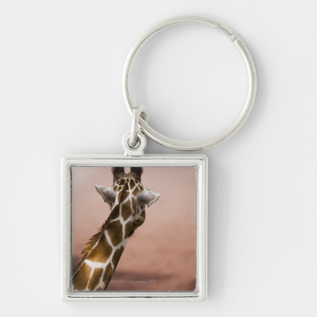 Close-up of Somali giraffe (Giraffa Keychain (Front)