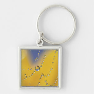Close-up of spider web with dew drops keychain