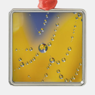 Close-up of spider web with dew drops metal ornament