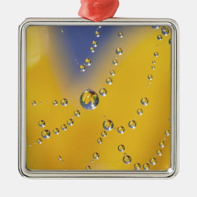 Close-up of spider web with dew drops metal ornament (Front)
