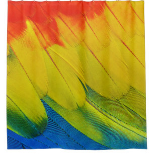 CLOSE UP OF THE AMAZINGLY COLORFUL FEATHERS OF A S