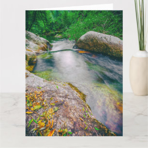 Close-up of the pond upstream the waterfall thank you card