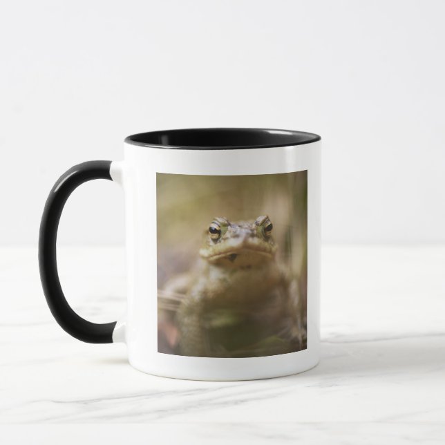 Close-up of toad mug (Left)