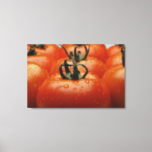 Close-up of tomatoes 2 canvas print