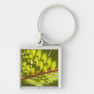 Close up of tropical palm frond keychain
