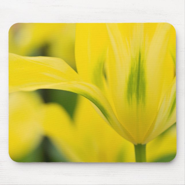 Close-up of tulip 2 mouse pad (Front)