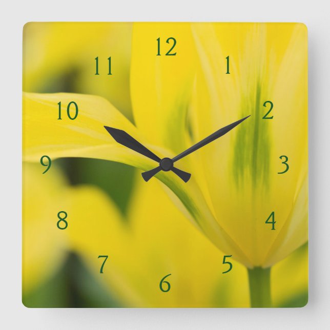 Close-up of tulip 2 square wall clock (Front)