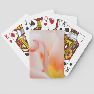 Close-up of tulip 3 playing cards