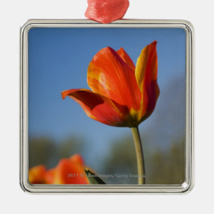 Close-up of tulip flowers metal ornament