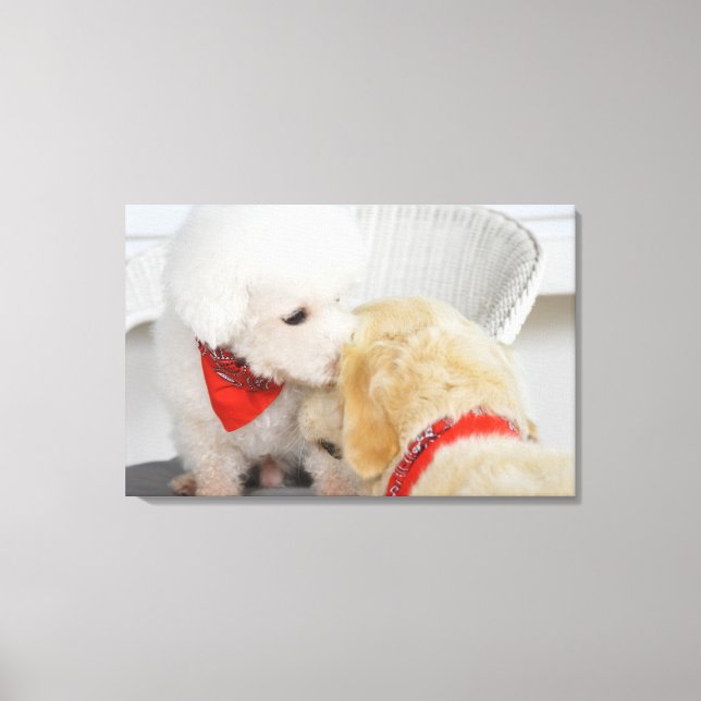 Close-up of two dogs canvas print (Front)