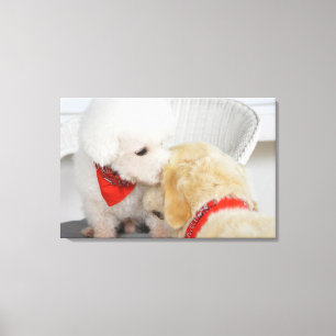 Close-up of two dogs canvas print
