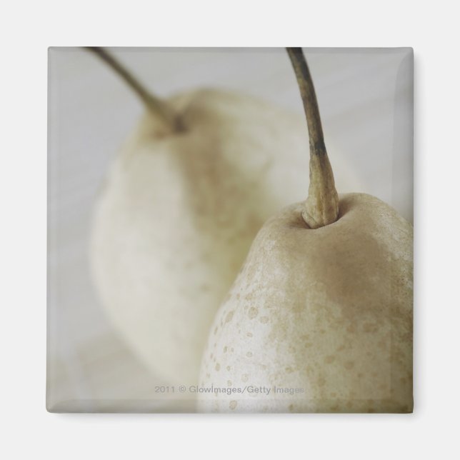 Close-up of two pears magnet (Front)