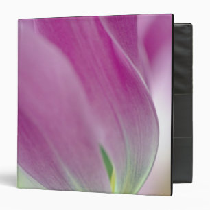 Close-up of underside of tulip flower, 2 binder