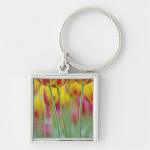 Close-up of underside of tulip flower, 3 keychain