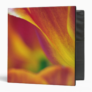 Close-up of underside of tulip flower, 4 binder