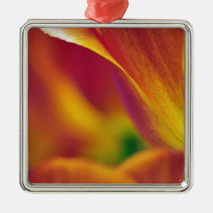 Close-up of underside of tulip flower, 4 metal ornament