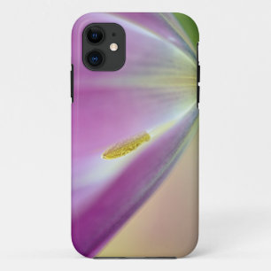 Close-up of underside of tulip flower, Kuekenhof 3 iPhone 11 Case