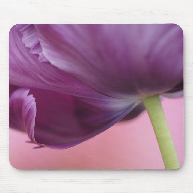 Close-up of underside of tulip flower, Kuekenhof Mouse Pad (Front)