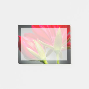 Close-up of vining geranium from back of flower post-it notes