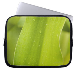 Close up of wet tropical leaf laptop sleeve