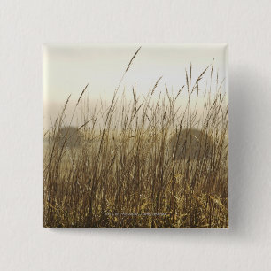 Close up of Wheat Photography 2 Inch Square Button