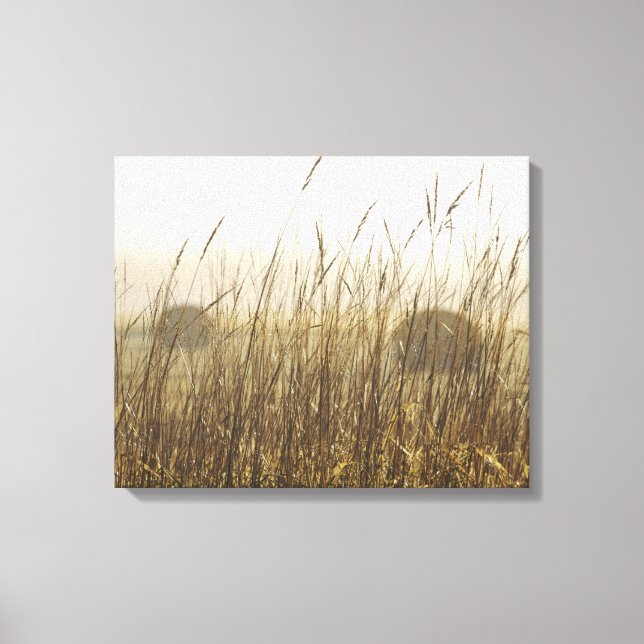 Close up of Wheat Photography Canvas Print (Front)