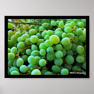 Close up of White Grapes Poster