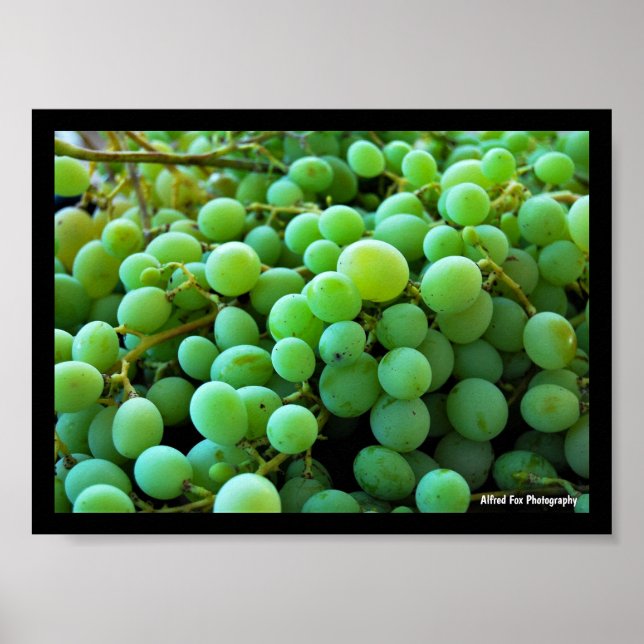 Close up of White Grapes Poster (Front)