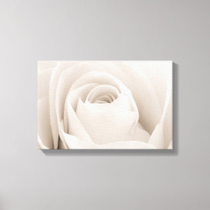 Close up of White Rose Petals Canvas Print